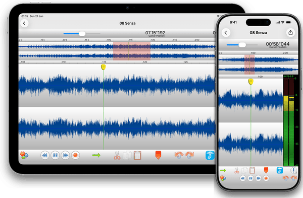 TwistedWave for iPhone and iPad